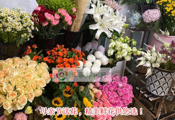 2024灵寿县母亲节送花,灵寿县精美鲜花供您选!
